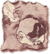 logo Piccolo Forno